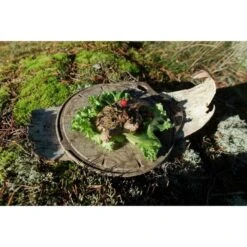 Kupilka Kaarna M - Planche à Découper-Original (Marron) -Magasins De Camping Essentiels kupilka kaarna m planche a decouper original marron 2