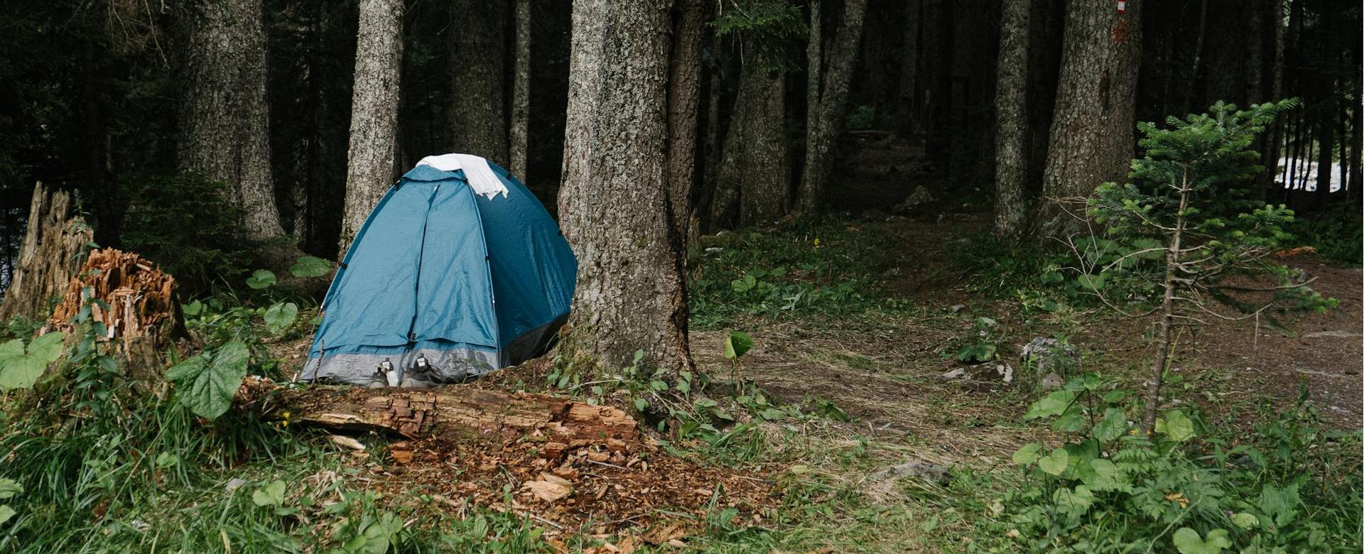 Magasins De Camping Essentiels -Magasins De Camping Essentiels pexels darina belonogova 9159974